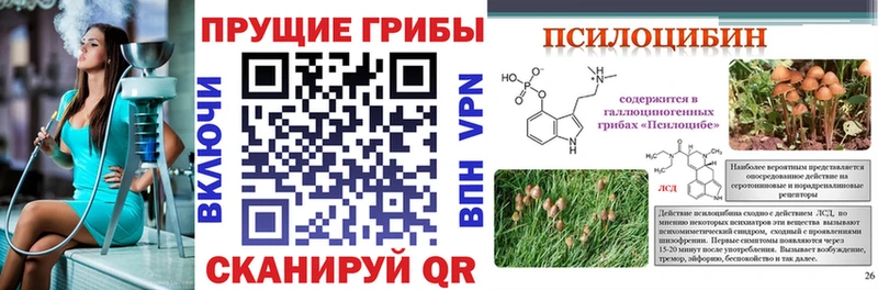 Псилоцибиновые грибы MAGIC MUSHROOMS  Купить где  Сосенский 